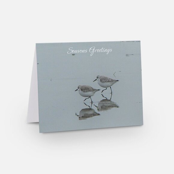 Seasons Greetings Holiday Card, Doran Beach, Bodega Bay, CA Sandpipers, Set of 6 - Picture 1 of 1